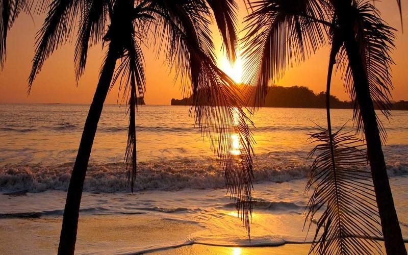 Hotel La Gaviota Tropical Плая Eрмоса Екстериор снимка